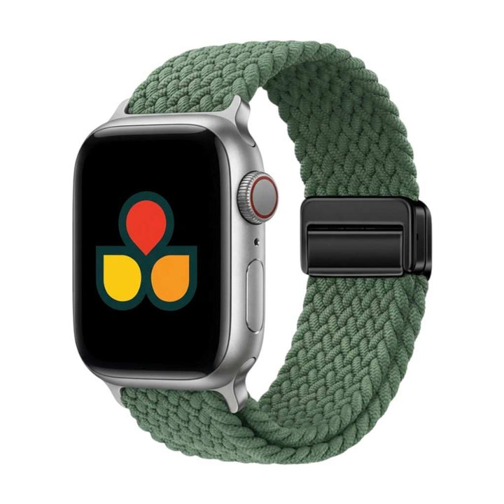 Braided Magnetic Strap